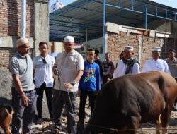 Rayakan Idul Adha 1444 Hijriyah, Polres Gowa Sembelih 13 Ekor Hewan Kurban