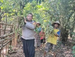 Wujud Peduli, Bhabinkamtibmas Desa Pakkatto Bantu Angkat Rumput Pakan Ternak Milik Warga Binaannya