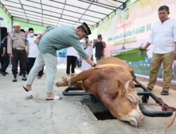 Polda Sulsel Sumbang 871 ekor sapi dan 20 ekor kambing