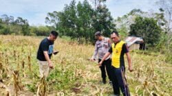 Team Inafis Polres Gowa Bersama Personil Polsek Tompobulu Lakukan Olah TKP Kasus Pembunuhan