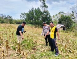 Team Inafis Polres Gowa Bersama Personil Polsek Tompobulu Lakukan Olah TKP Kasus Pembunuhan