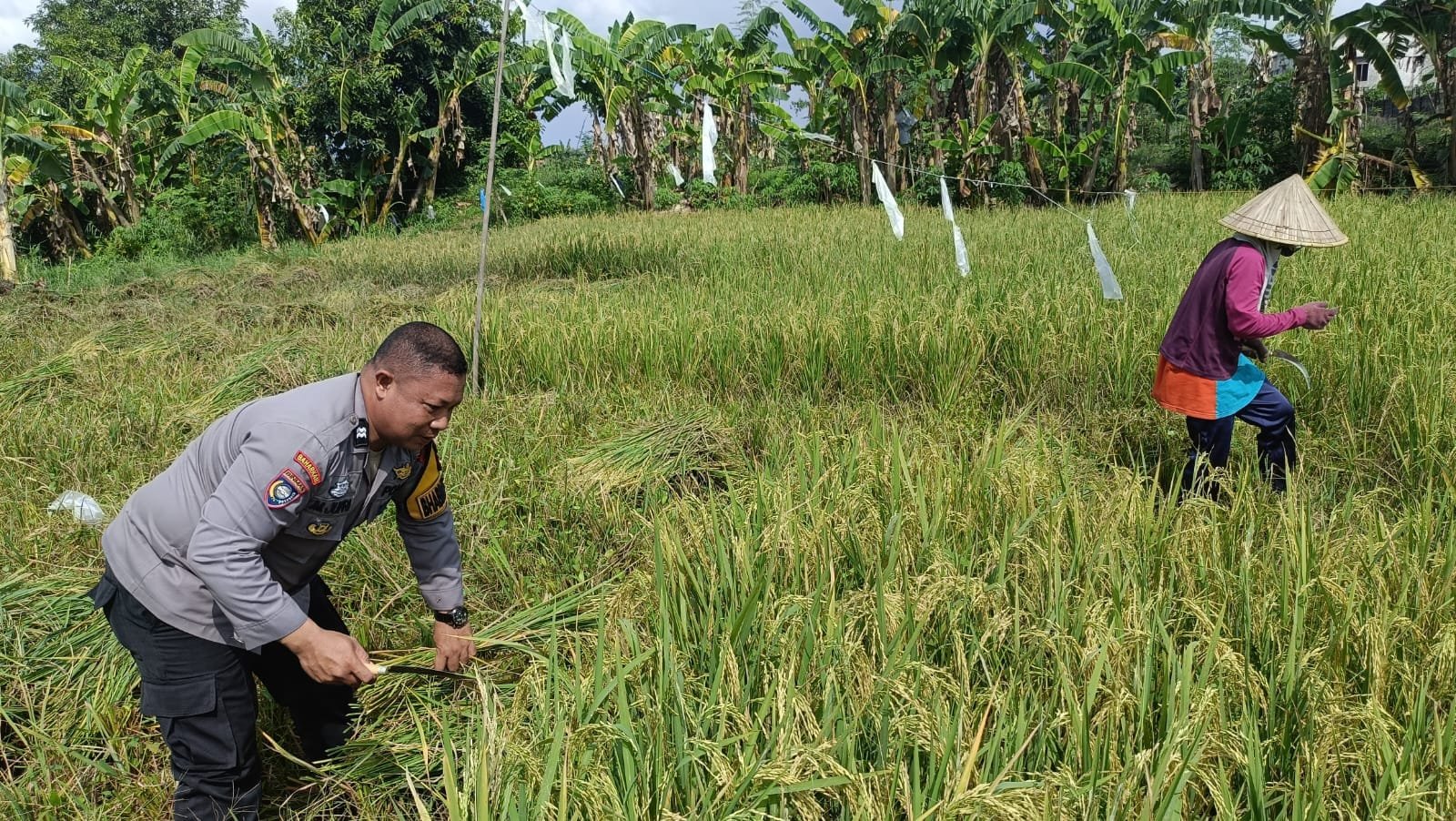 Dukung Ketahanan Pangan, Bhabinkamtibmas Sambang Petani Di wilayah Binaan.